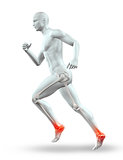 3D male figure running with skeleton