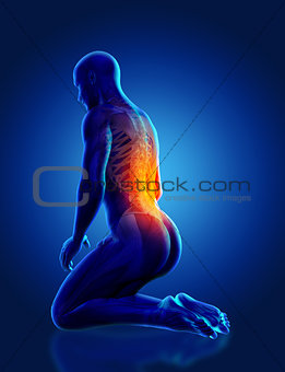 3D blue male medical figure kneeling with spine highlighted