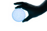 hand with Petri dish