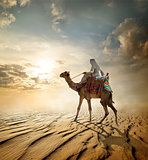 Journey through desert