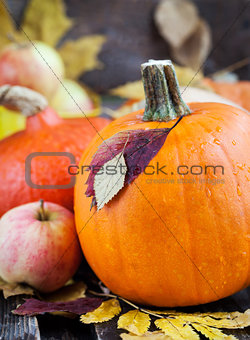 Fresh autumn pumpkins