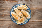 Asian appetizer pan fried dumplings