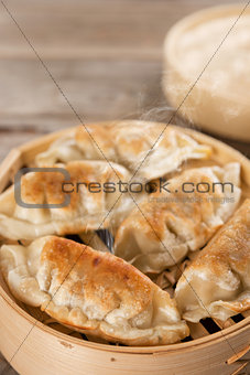 Chinese gourmet pan fried dumplings