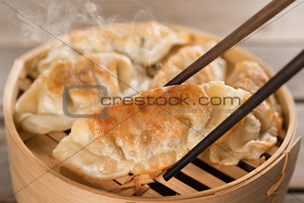 Chinese dish pan fried dumplings