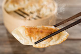 Chinese appetizer pan fried dumplings