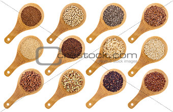 gluten free grains and seeds abstract