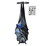 Watercolor sleeping bat