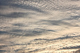 Altocumulus clouds in evening sky