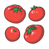 Vector tomato