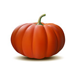 Orange realistic pumpkin