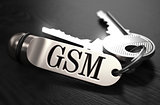 GSM Concept. Keys with Keyring.