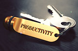 Productivity written on Golden Keyring.