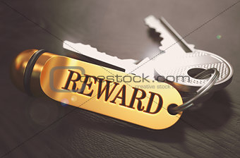 Keys with Word Reward on Golden Label.