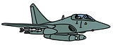 Gray jet fighter