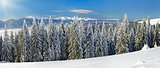 Winter mountain landscape (panorama)