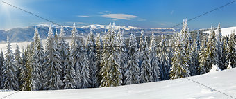 Winter mountain landscape (panorama)