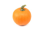 Orange sugar pumpkin