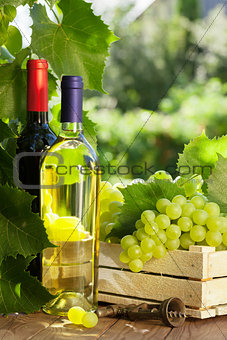 White and red wine bottle, glass, vine and grapes