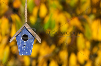 Bird House in Autumn Fall Sunshine & Golden Leaves 