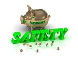 SAFETY- inscription of green letters and gold Piggy 