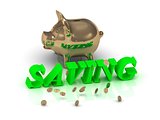 SAVING- inscription of green letters and gold Piggy 