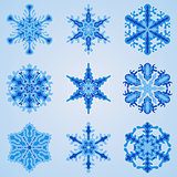 Vector Snowflakes Set