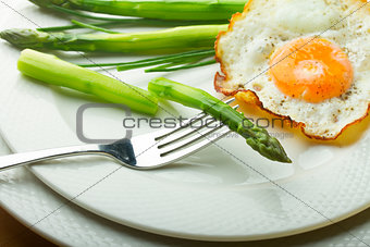 Fried egg in plate