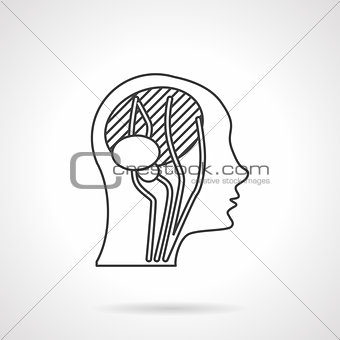 Flat line head anatomy vector icon