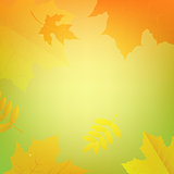 Autumn Banner With Color Leaves