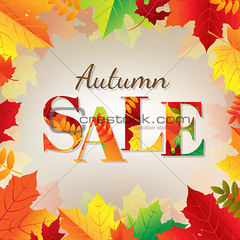 Autumn Sale Banner With Color Leaves