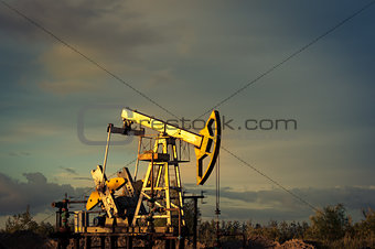 Oil pumps.