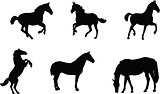 The set of 6Horse silhouette