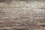 Detail of old weathered wood tile background