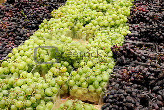 grapes in the supermarket