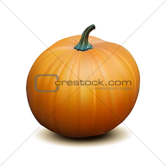 Orange realistic pumpkin