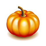 Orange autumn pumpkin icon