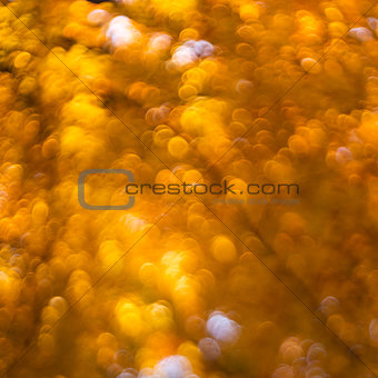 Autumn abstract background