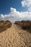 Footpath on Walberswick Beach, Suffolk, England