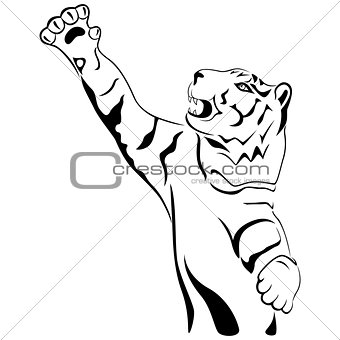 Adult tiger with his paw held high up