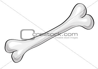 Bone. Vector Illustration