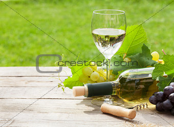 White wine, wine bottle and grape