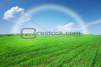 Green grass field, blue sky with rainbow