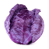 Wet red cabbage