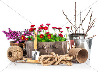 Spring still life daisies in wooden basket garden tools