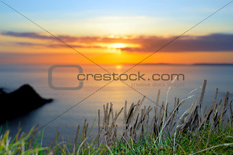 sunset over loop head with the wild tall grass