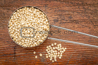 white sorghum grain in a metal scoop