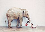 baby elephant and human baby