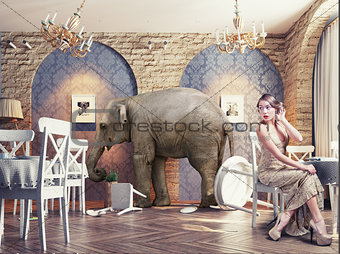 an elephant calm in the  restaurant 