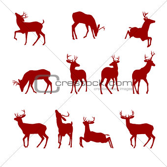 Various Silhouettes of Deer