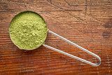 moringa leaf powder scoop